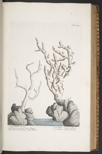 Plaat 342, uit 