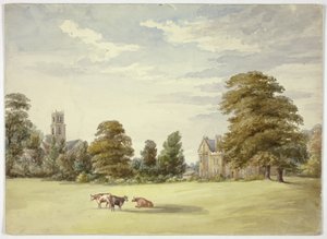 Koeien voor landhuis en kerk