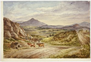 Wicklow Hills door Elizabeth Murray