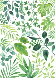 Leafy Medley, 2018 (aquarel)