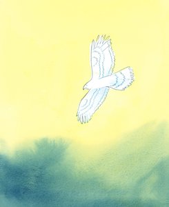 In Zijn gerechtigheid is God als een enorme roofvogel, die van veraf het kleinste schepsel op aarde en al zijn bewegingen ziet door Elizabeth Wang