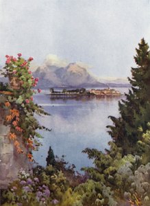 Een tuin in Baveno, Lago Maggiore door Ella Du Cane