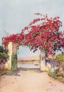 Een tuin in Luxor