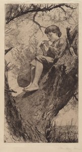 De Wilgenfluit