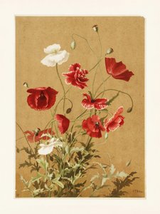 Poppies nr. 3 Door Ellen Thayer Fisher
