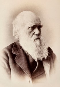 Charles Darwin: Engelse natuuronderzoeker door Elliott und Fry Studio