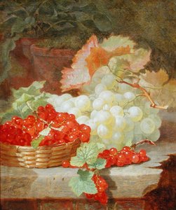 Stilleven
