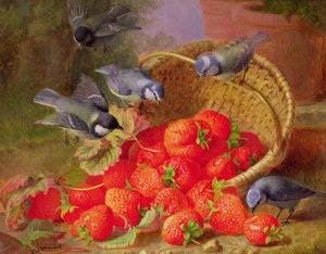 Stilleven met aardbeien en pimpelmezen