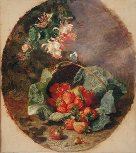 De Vier Seizoenen: Zomer