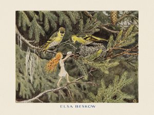 Het zonne-ei De vogels