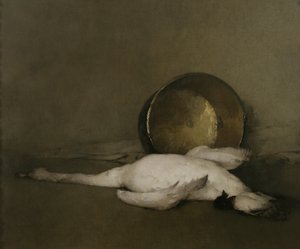 De Wilde Zwaan