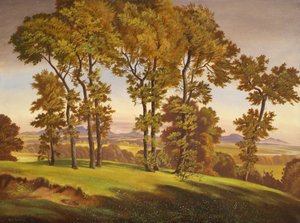 Landschap met bomen