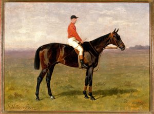 Paard en ruiter