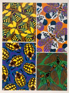 Ontwerp met insectenmotief