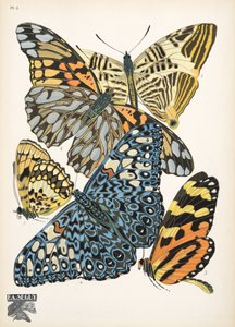 Plaat 3, uit Papillons, pub. 1925 door Émile Allain Séguy