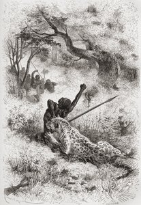 Een luipaard die een Afrikaan aanvalt, illustratie uit 