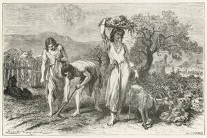 De tuinbouw in de Bronstijd