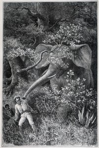 Livingstone verrast door een olifant, in "Le Tour du Monde" door Emile Antoine Bayard
