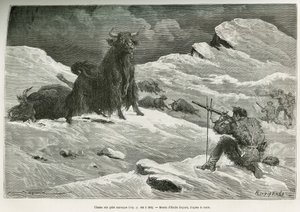 Jachtscène met wilde jak, tekening door Emile Bayard ter illustratie van de reis naar Mongolië en het land van de Tangoutes van 1870 tot 1873, door Luitenant Kolonel Prjewalski. Gravure in Le tour du monde door Emile Antoine Bayard