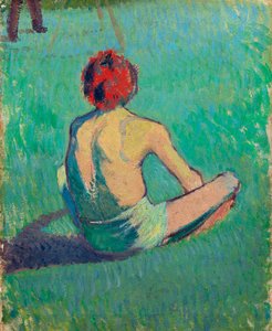Jongen zittend in het gras