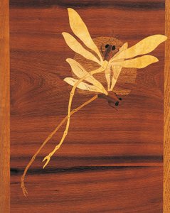 Libellen, detail van Art Nouveau stijl kast, ca. 1900, Frankrijk, 20e eeuw door Emile Galle