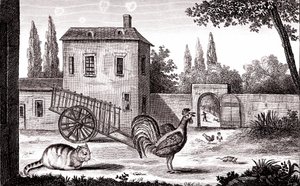 De haan, de kat en de muis, fabel van La Fontaine