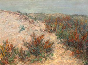 Duinen met stranddoorn bij Knokke door Emilie Mediz Pelikan