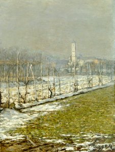 Landschap. Winterzon