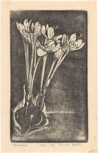 Herfsttijloos door Emilius Wilhelmus Dehé (signed by artist)