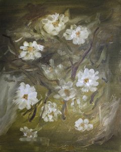 Zachte witte bloesems
