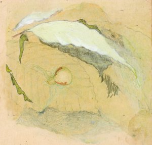 Porselein-Witte Spin door Emma Beach Thayer