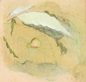 Porselein-witte spin