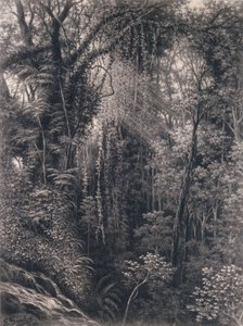 Uitzicht op de Kloof boven Apia, Upolu, West-Samoa, 1877