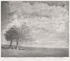 Een heide