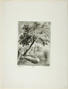 De Visser door Emmanuel Phélippes Beaulieu