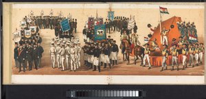 Optocht te Haarlem, 1872 (plaat 12)