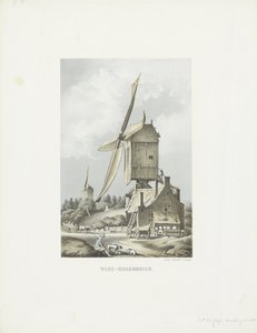 Wind - korenmolen