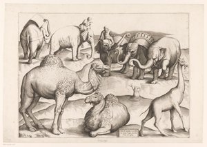 Acht dieren door Enea Vico (attributed to)