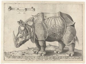 Neushoorn