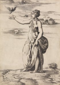 Proserpina verandert Aesculapius in een uil, 1548