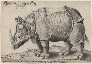 Neushoorn