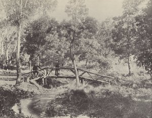 Een Rustieke Brug, Ballarat Waterreservaat door English Photographer