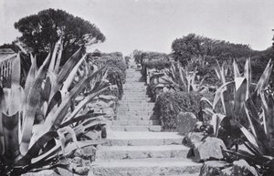 Een stukje in de tuinen van Tresco door English Photographer