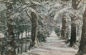 Addisons Walk, Magdalen College, Oxford door English Photographer