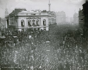 Luchtfoto van de hervormingsdemonstratie door English Photographer