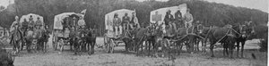 Ambulancewagens verlaten het pestziekenhuis in Kaapstad, illustratie uit The King, 25 mei 1901