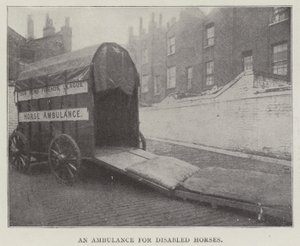 Een Ambulance voor Gehandicapte Paarden door English Photographer