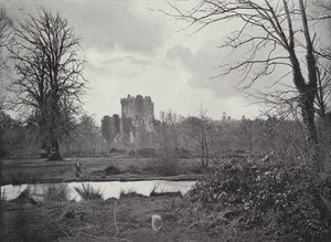 Kasteel van Blarney door English Photographer