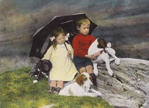 Jongen en meisje met drie honden onder een paraplu