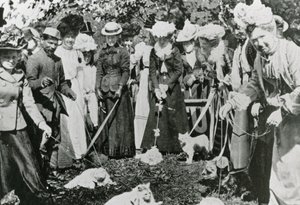 Kattenshow in de Royal Botanic Gardens, Westminster, in 1900 door English Photographer